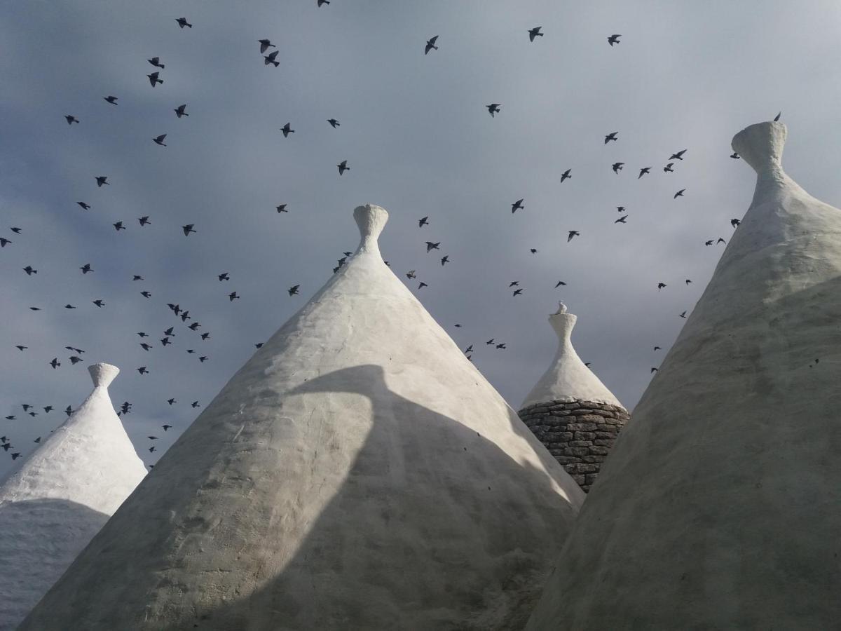 Trulli Di Puglia - Casa Vacanze In Valle D'Itria Martina Franca Exterior foto