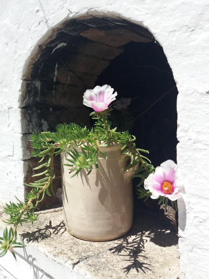 Trulli Di Puglia - Casa Vacanze In Valle D'Itria Martina Franca Exterior foto