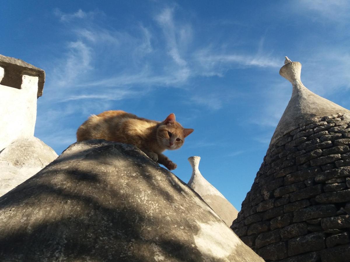 Trulli Di Puglia - Casa Vacanze In Valle D'Itria Martina Franca Exterior foto